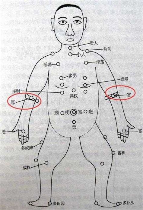 手臂內側痣|痣的位置透露出這些訊息！上手臂有痣不乏追求者、手。